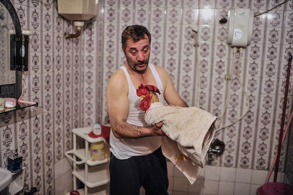 Yılın basın fotoğrafları