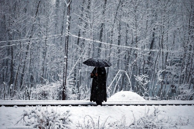 Almanya'da hava sıcaklığı -26 derece