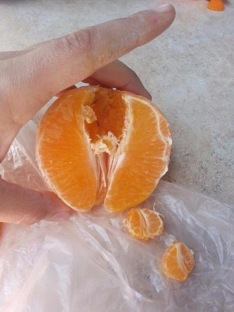 Hayretle paylaştı! Böylesi zor bulunur