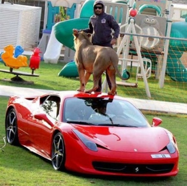İşte Dubai'nin zengin çocukları