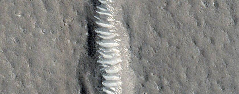NASA Mars'ın kış fotoğraflarını paylaştı