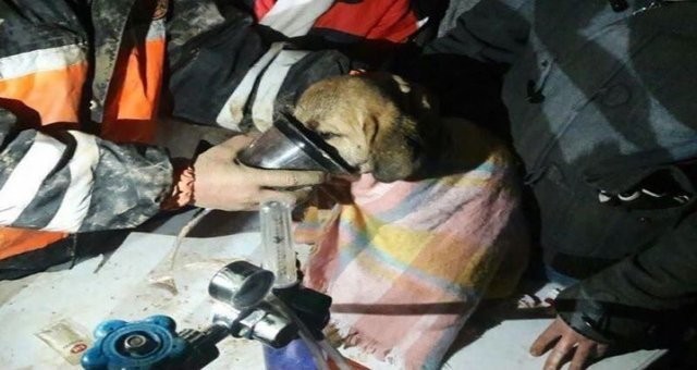 'Kuyu' karantinaya alındı iddiası!