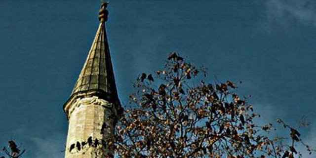 Türkiye'de yaşadığınızı gösteren 40 işaret