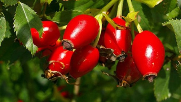 Kırmızı besinlerde sağlık var