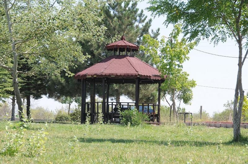 İstanbul'un en iyi ormanları