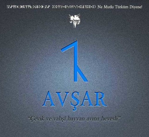 Türklerin soy ağacı çıkarıldı! Hangi soydan geliyorsunuz?
