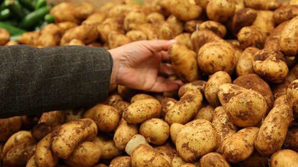 Dikkat! Patates zehirleyebilir