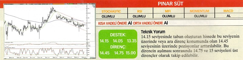 24 hisselik teknik analiz