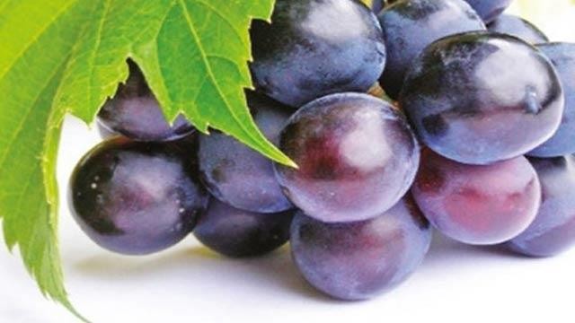 Beyninizin güçlü bir belleğe sahip olması için gerekli 10 besin