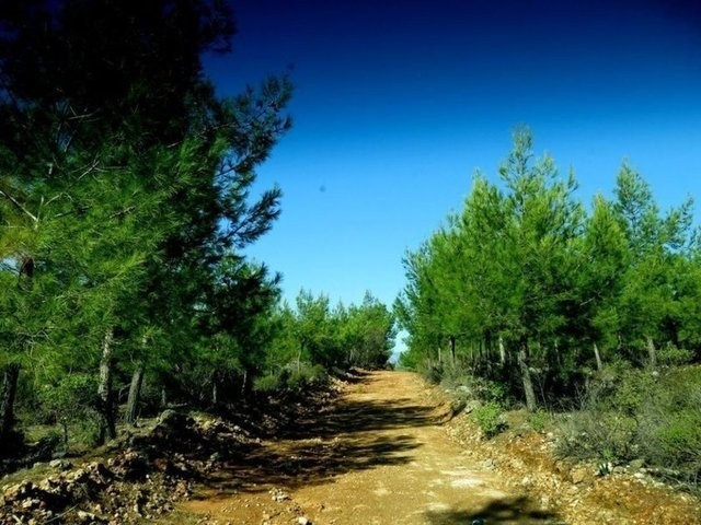 İşte Türkiye'nin en güzel 15 kanyonu