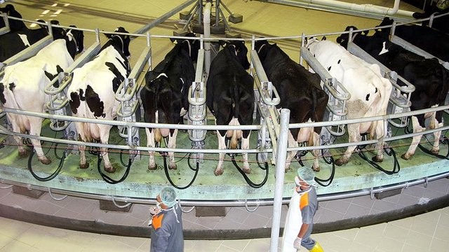 Türkiye'de en çok kazandıran 46 meslek
