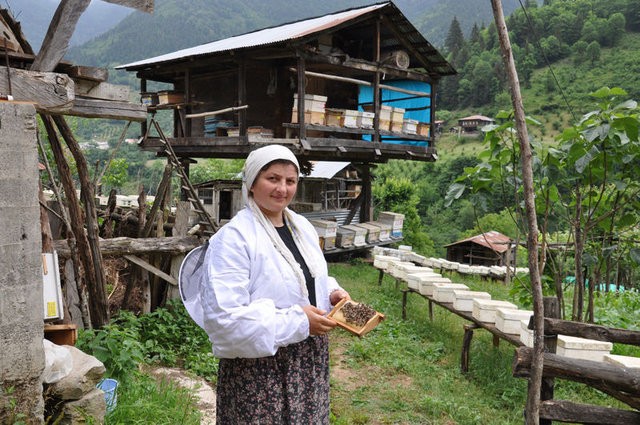 Öyle bir yerde bal üretiyor ki! Çok şaşıracaksınız