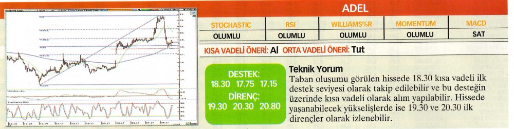 22 hisselik teknik analiz