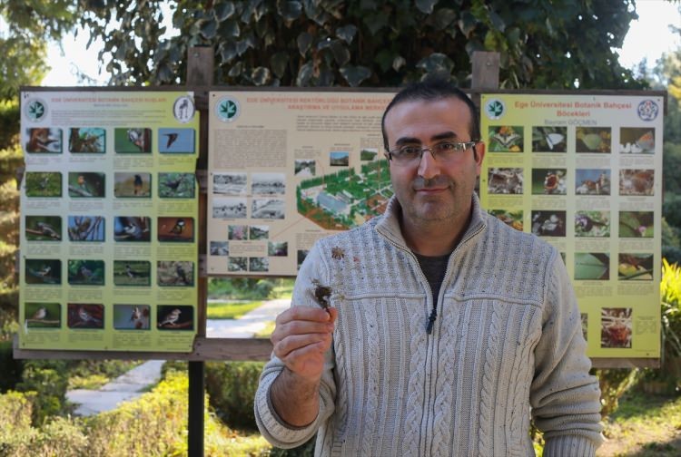 Erzurum'da yeni bitki türü bulundu