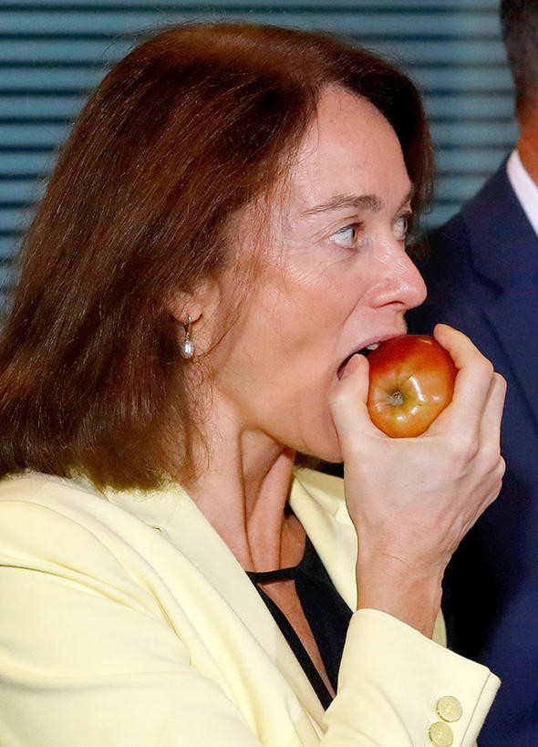 Merkel'den elma üreticisine destek 
