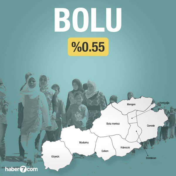 Suriyeliler hangi ilin yüzde kaçını oluşturuyor?