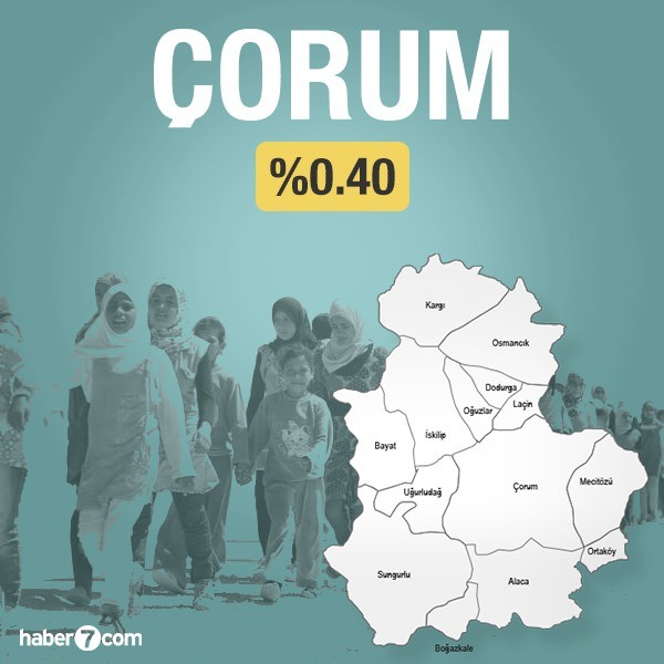 Suriyeliler hangi ilin yüzde kaçını oluşturuyor?