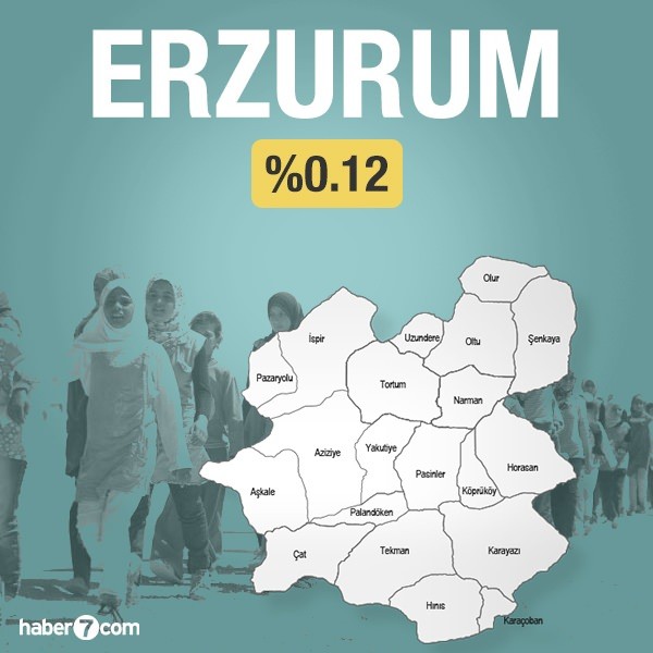 Suriyeliler hangi ilin yüzde kaçını oluşturuyor?