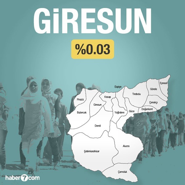 Suriyeliler hangi ilin yüzde kaçını oluşturuyor?