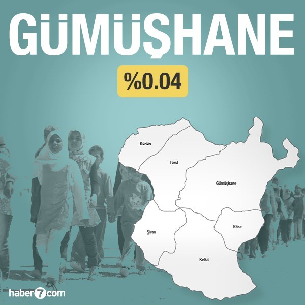Suriyeliler hangi ilin yüzde kaçını oluşturuyor?