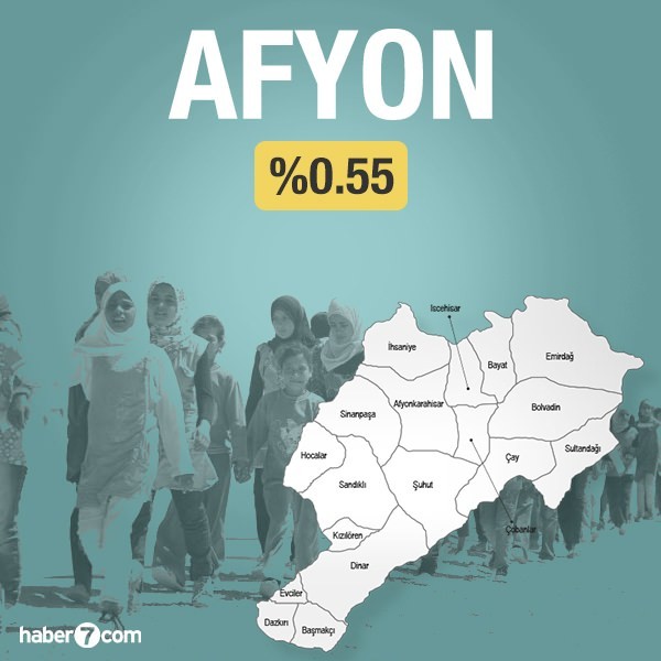 Suriyeliler hangi ilin yüzde kaçını oluşturuyor?
