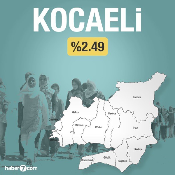 Suriyeliler hangi ilin yüzde kaçını oluşturuyor?