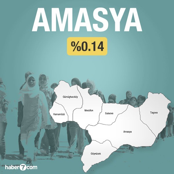Suriyeliler hangi ilin yüzde kaçını oluşturuyor?