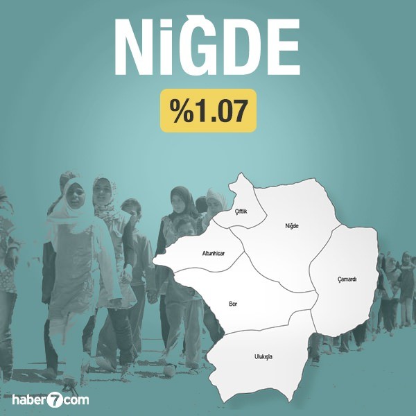 Suriyeliler hangi ilin yüzde kaçını oluşturuyor?