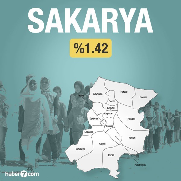 Suriyeliler hangi ilin yüzde kaçını oluşturuyor?