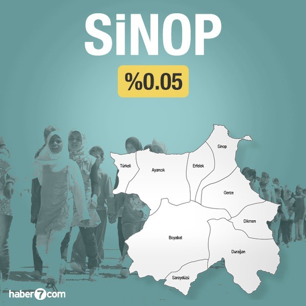 Suriyeliler hangi ilin yüzde kaçını oluşturuyor?
