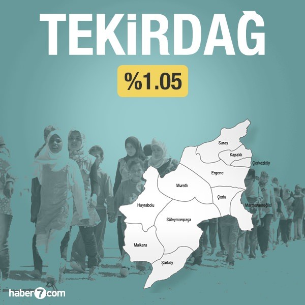 Suriyeliler hangi ilin yüzde kaçını oluşturuyor?