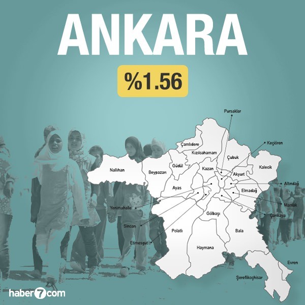 Suriyeliler hangi ilin yüzde kaçını oluşturuyor?