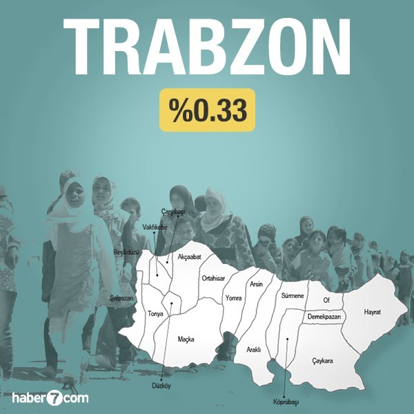 Suriyeliler hangi ilin yüzde kaçını oluşturuyor?