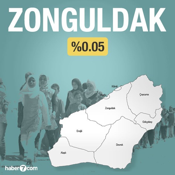 Suriyeliler hangi ilin yüzde kaçını oluşturuyor?