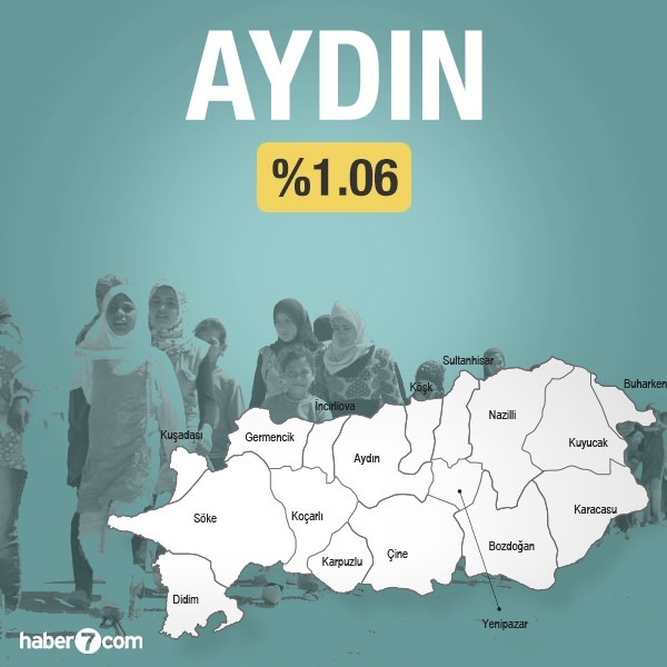Suriyeliler hangi ilin yüzde kaçını oluşturuyor?