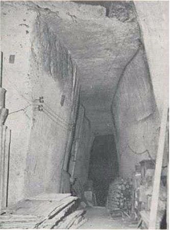 Yeraltından servet çıktı!
