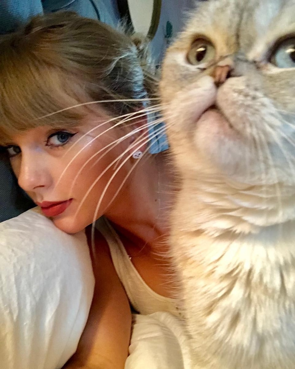 Dünyanın en zengin hayvanları! Taylor Swift’in kedisi de listede