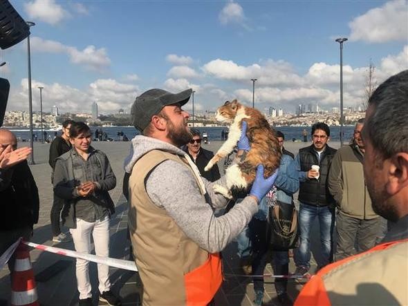 İtfaiyeyi alarma geçiren kedi