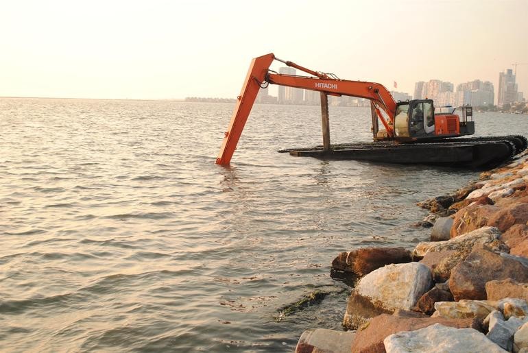 İzmir'de suyun yüzeyini kaplayan 'deniz marulu' temizlendi
