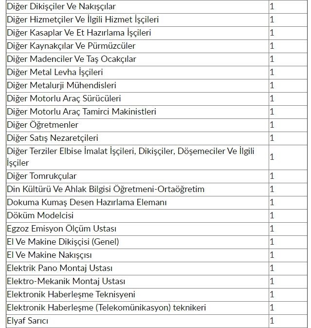 İŞKUR'dan 48 bin 385 kişiye iş müjdesi! 