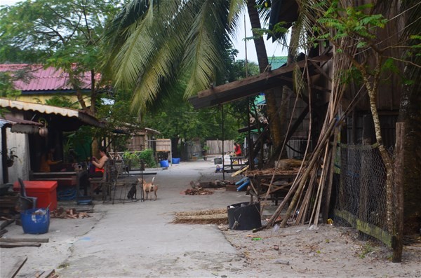 Koh Rong Adasında  Hakimiyet Türklerin !