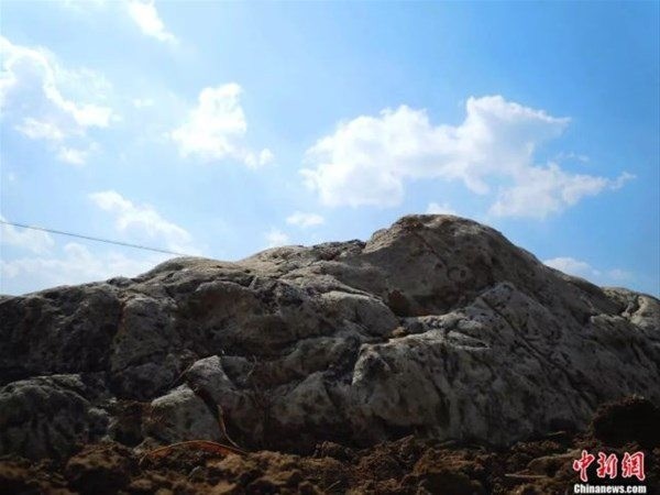 78 bin kişi 200 bin eser gönderdi! Çin'in garip yüzü