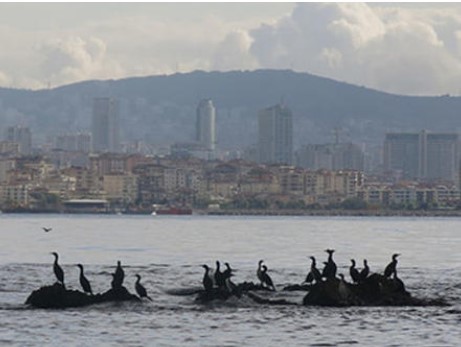 İstanbul'un bilinmeyen adaları