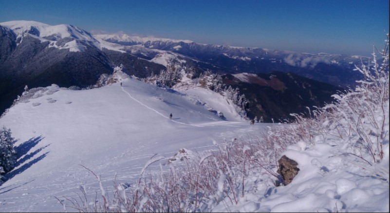 Trabzon'da, terör örgütü PKK'ya yönelik operasyon