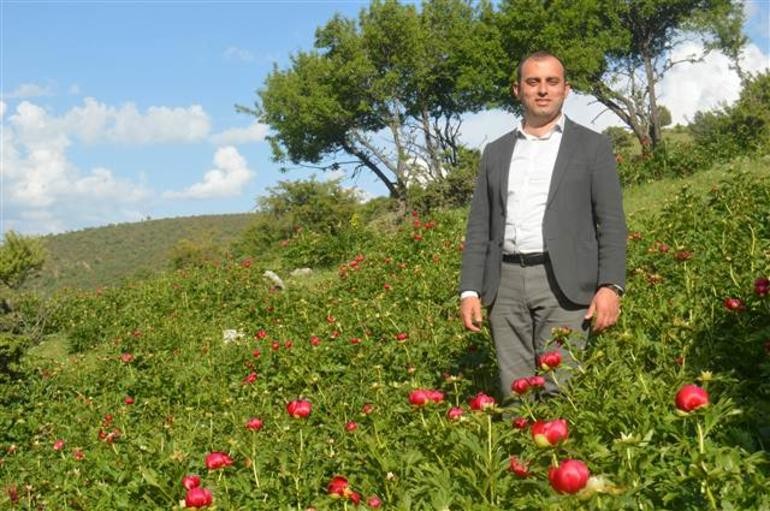 Bu çiçeği koparmanın cezası 48 bin 600 lira