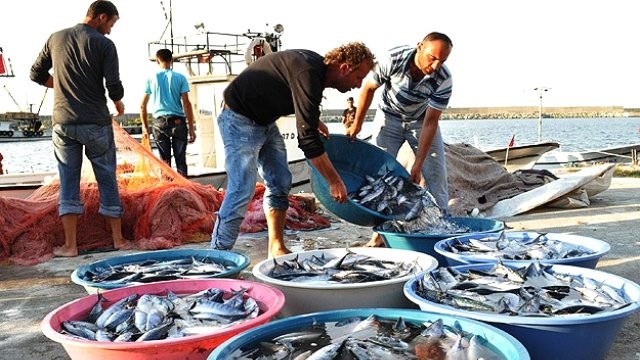 Balıkçılar yeni sezondan umutlu