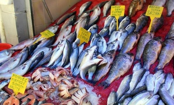 Balıkçılar yeni sezondan umutlu