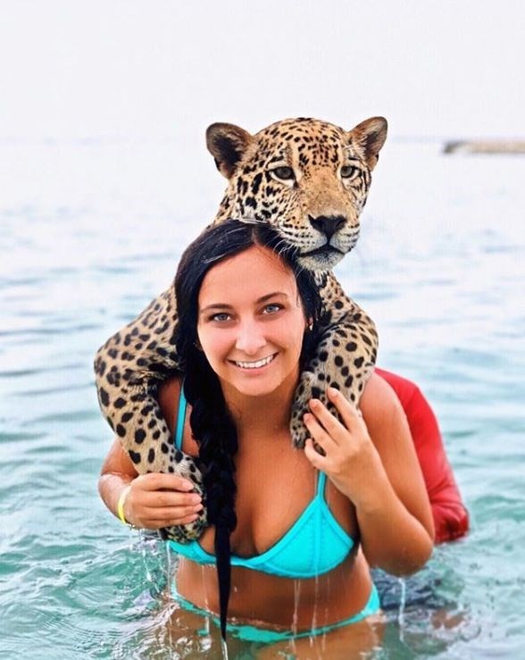  Jaguarlarla yüzüp, fotoğraf çektirmek 40 euro 