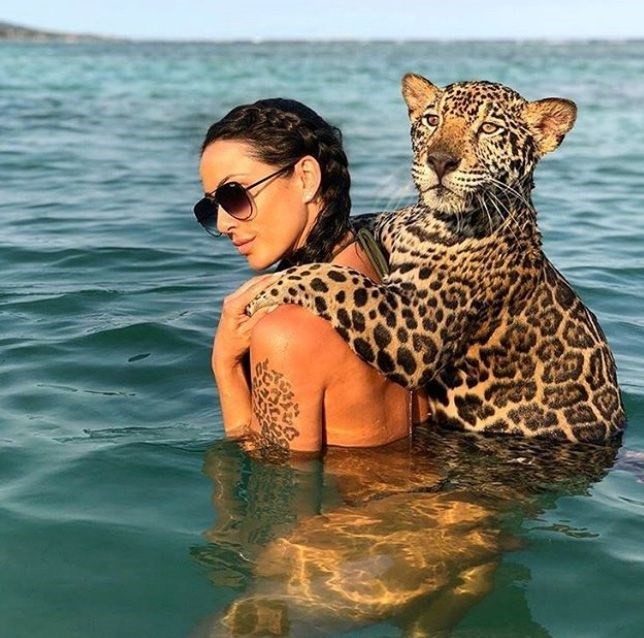  Jaguarlarla yüzüp, fotoğraf çektirmek 40 euro 