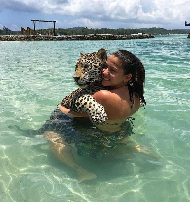  Jaguarlarla yüzüp, fotoğraf çektirmek 40 euro 